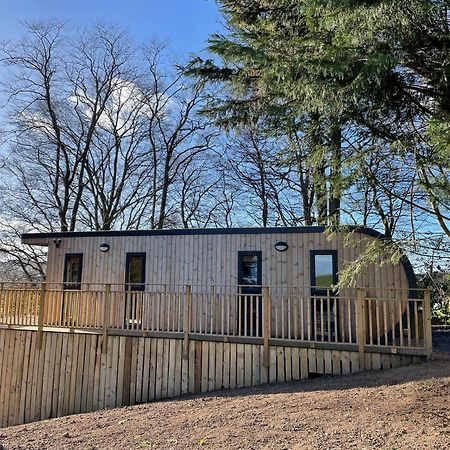 Acorn Lodge With Hot Tub Cupar Exteriér fotografie